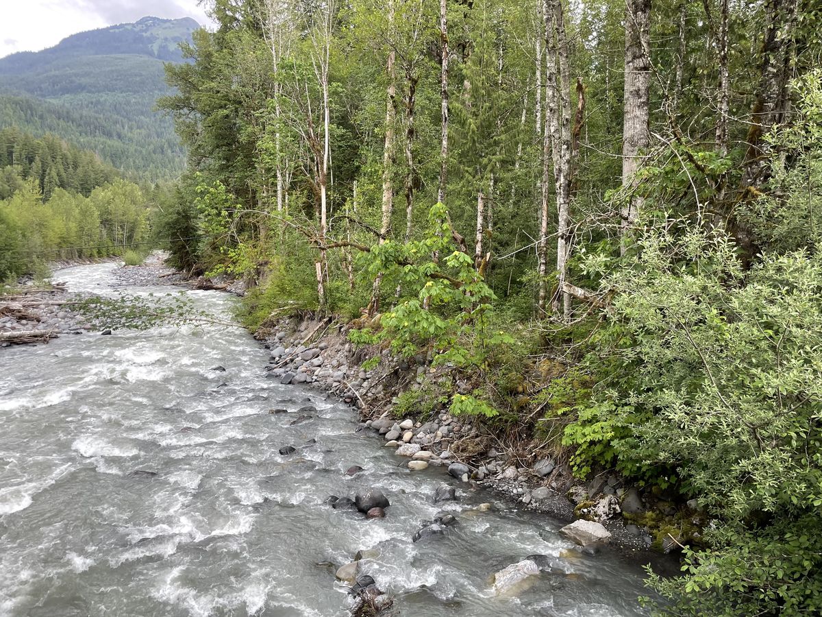 Pacific Northwest landscape